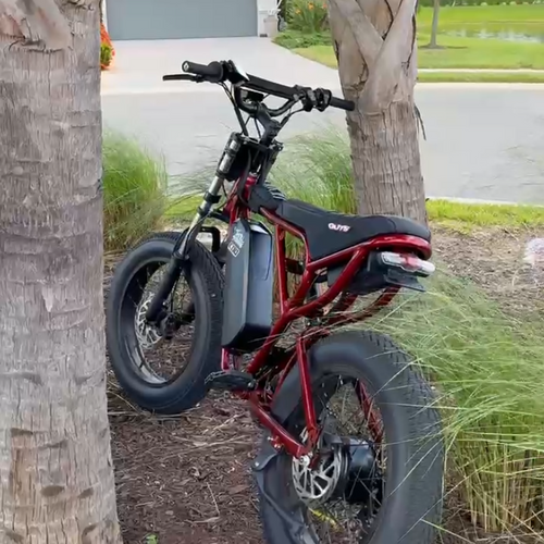 Ridstar Q20 Glossy Red Paint Kit